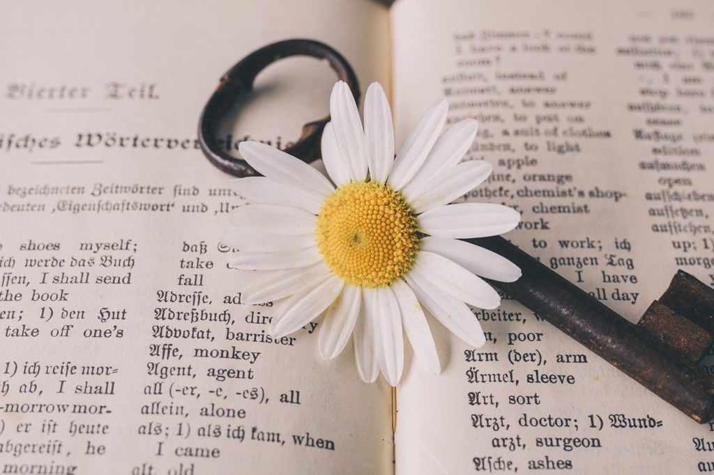 綺麗な花と鍵が英語の辞書においている